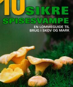 10 sikre spisesvampe (Bog)