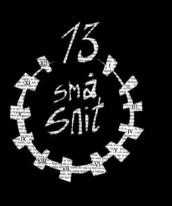 13 Små Snit - Martin Prehn - Bog