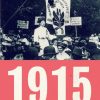 1915 - Da kvinder og tyende blev borgere (E-bog)