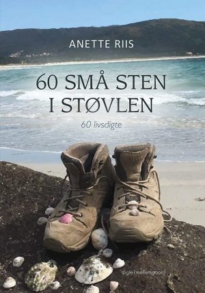 60 Små Sten I Støvlen - Anette Riis - Bog