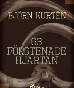 63 förstenade hjärtan (E-bog)