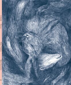 9 Piger - Hesten - Bjørn Rasmussen - Tegneserie