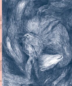 9 piger - Hesten (Bog)