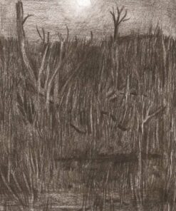 9 piger - Liftet (Bog)