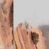 Abandon Green Language - Jonas Rolsted - Bog