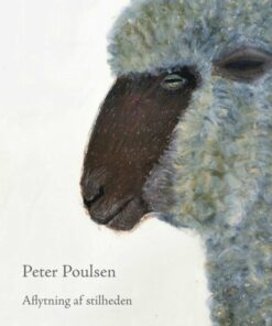 Aflytning Af Stilheden - Peter Poulsen - Bog