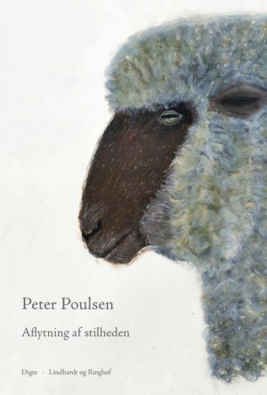 Aflytning Af Stilheden - Peter Poulsen - Bog