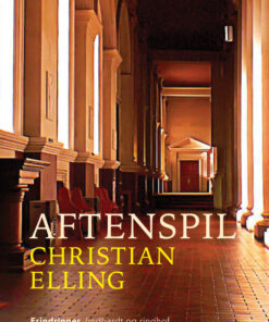 Aftenspil (E-bog)