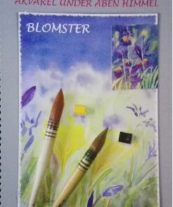 Akvarel Under åben Himmel - Conni Schimmell - Bog