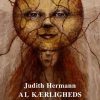 Al Kærligheds Begyndelse - Judith Hermann - Bog