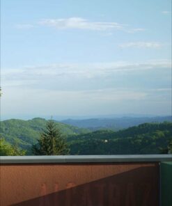 Alcatraz - Luca Talamona - Bog