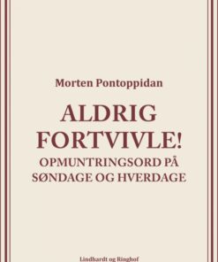 Aldrig fortvivle! (E-bog)