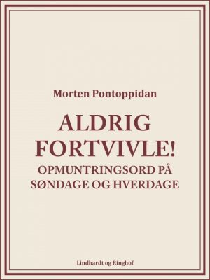 Aldrig fortvivle! (E-bog)