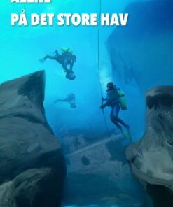 Alene på det store hav (Bog)