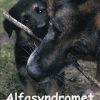 Alfasyndromet (Bog)