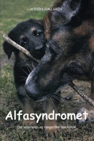 Alfasyndromet (Bog)