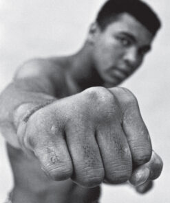 Ali (E-bog)