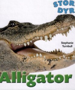 Alligator (Bog)