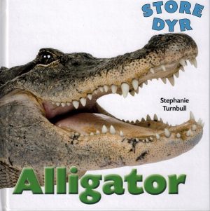 Alligator (E-bog)