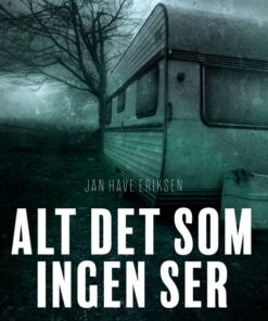 Alt det som ingen ser (E-bog)