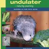 Alt om undulater (Bog)
