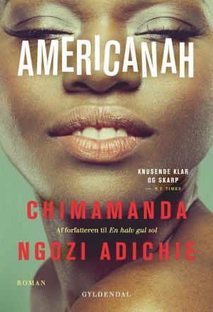 Americanah - Chimamanda Ngozi Adichie - Bog