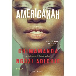 Americanah - Paperback