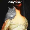 Amys kat (E-bog)