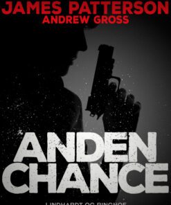 Anden chance (E-bog)