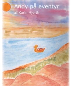 Andy på eventyr (Bog)