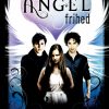 Angel 3 - Angel Fever (E-bog)