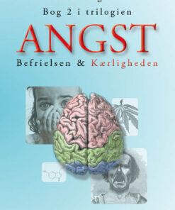Angst - Del 2 (E-bog)