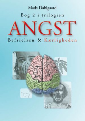 Angst - Del 2 (E-bog)