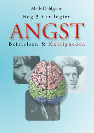 Angst - Del 3 (E-bog)