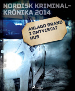 Anlagd brand i omtvistat hus (E-bog)