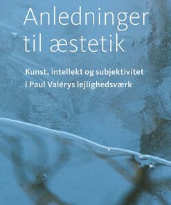 Anledninger Til æstetik - Anne Elisabeth Sejten - Bog