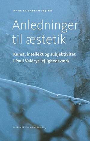 Anledninger Til æstetik - Anne Elisabeth Sejten - Bog