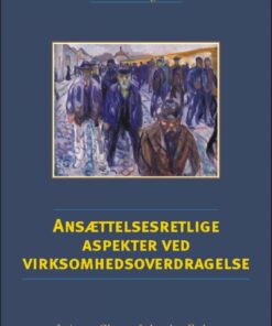 Ansættelsesretlige Aspekter Ved - Mette Klingsten - Bog