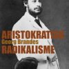Aristokratisk Radikalisme (E-bog)