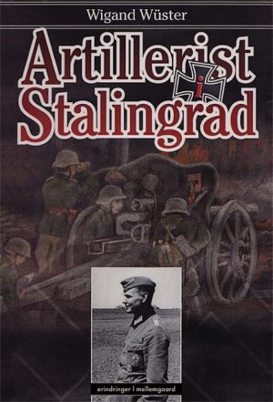 Artillerist i Stalingrad (E-bog)