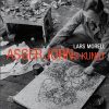 Asger Jorns Kunst - Lars Morell - Bog
