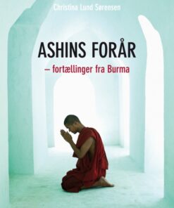 Ashins forår (E-bog)