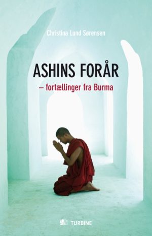 Ashins forår (E-bog)