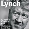 At Fange De Store Fisk - David Lynch - Bog