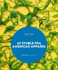 At Stjæle Fra American Apparel - Bog