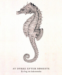 At dykke efter søheste (E-bog)