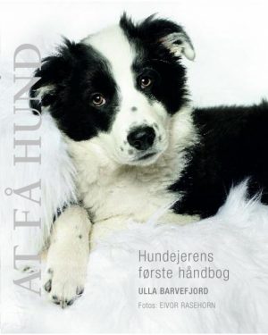 At få hund (E-bog)