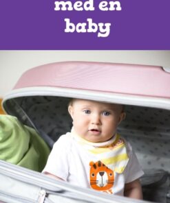 At rejse med en baby (Bog)