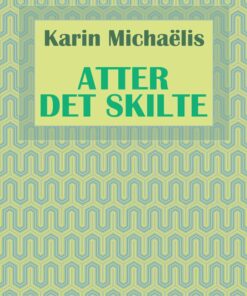 Atter Det Skilte - Karin MichaÃ«lis - Bog