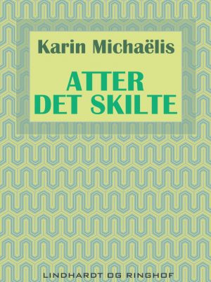 Atter Det Skilte - Karin MichaÃ«lis - Bog